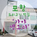 가야생오리 이미지