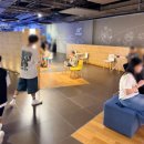 에이블현대호텔앤리조트 | 제주 해비치 호텔&리조트 가족여행 숙소 추천, 수영장 호캉스 후기