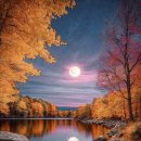 슬픈 연가 이미지