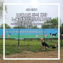 서울 최초 반려견 동반 캠핑장 내달 10월 1일 정식 개장] 노을공원 노을캠핑장 드디어 애견동반 가능...
