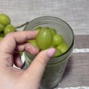 병권농장 이미지