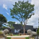 동읍1177 이미지