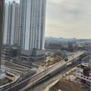 엘로이기획 네이버블로그