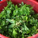 양평친환경농업박물관 이미지