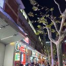 상하이손짜장 | 상하이 미슐랭 맛집 - 인화관(人和馆) 런허관 징안사점 내돈내산 후기(게살비빔밥 게살만두 맛집)