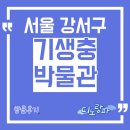 연충 | 기생충박물관 방문후기, 서울 강서구 아이와 가볼만한 곳