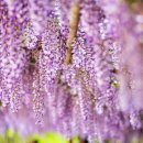 합도초등학교 이미지