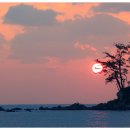 세븐일레븐진하비치점 이미지