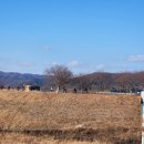 화원삼보정비검사소 | 을사년 1월 16일(목) 木曜(논공 선녀골)라이딩 마구달