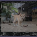 제천 성내관광지 이미지