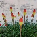 산유골 수목정원 이미지