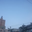 부산댁부산