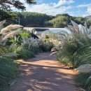 청산파크 이미지