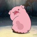 용두해수욕장 숲속야영장 이미지