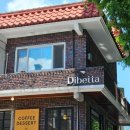 디배따(DIBETTA)