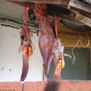 꿈이있는마을 이미지