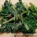 피크닉꼬마김밥 이미지