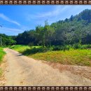 산천초목민박 이미지