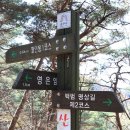 충남(공주)태화산 최단코스 이미지