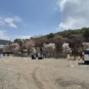 포돌이로 77 이미지