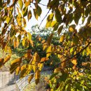 영은미술관 이미지