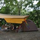 수목원캠핑장 이미지