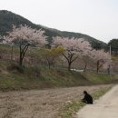 운전부락(운전) 이미지