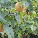 산여울민박 이미지