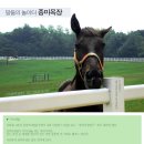 원당목장 티스토리
