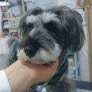 유성준동물병원 이미지