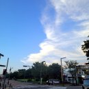 2024 봉황대뮤직스퀘어 | 무대를 디자인하는 자우림 김윤아 2024년 봉황대 뮤직스퀘어 막공 후기(경주)