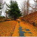 인주면 문방2교 이미지