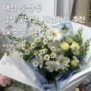 신성꽃집 | 대전 둔산동 꽃집 추천 개업화분 내돈내산 후기, 꽃소식 플라워