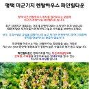 (주)대영종합환경