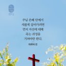 날마다대청소 이미지