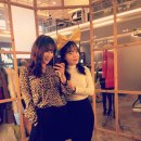 Brown 8번가
