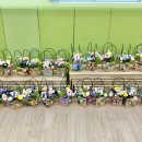 서울장수초등학교 이미지