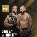 ufc334 시릴 간 vs 조쉬 호킷 이미지