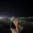 다봉치킨 네이버블로그