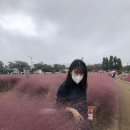 건전사