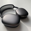 에어팟 맥스 AirPods Max 한 달 사용 후기
