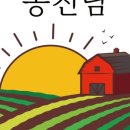 온도 수제청 이미지