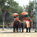 시산농장 이미지