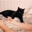 기분좋은 동물병원 이미지