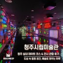 청주시립미술관 | 청주 가볼만한곳 : 청주시립미술관 씨킴 개인전 <그것만이 내 세상> 전시 후기 및 주차 팁