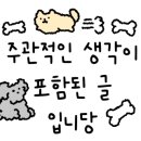린도디아 이미지