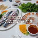 싱싱횟집 | 제주도 고등어회 맛집 서귀포 올레시장 횟집 포장 싱싱올레해산물 내돈내산 후기