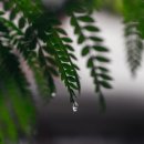 고현치과의원 이미지