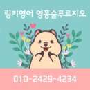 링키영어영흥숲푸르지오영어교습소 | 링키영어 영흥숲푸르지오 #1월 원데이클래스 리뷰