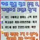 펀잇 이미지